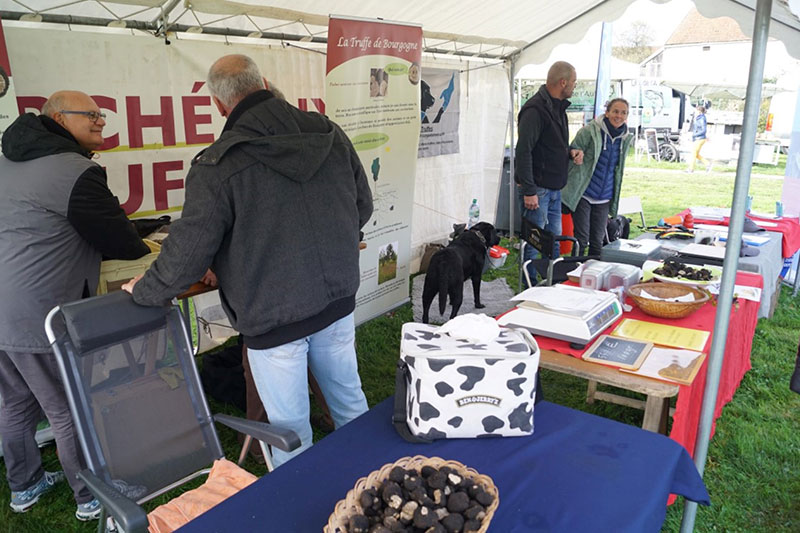 Fête de l'Automne de Leuglay Marché aux truffes