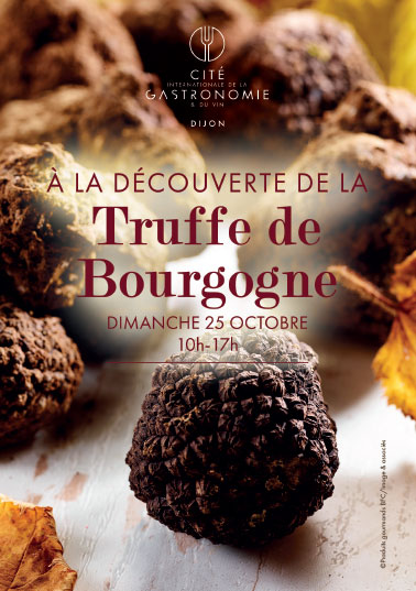 A la découverte de la Truffe de Bourgogne