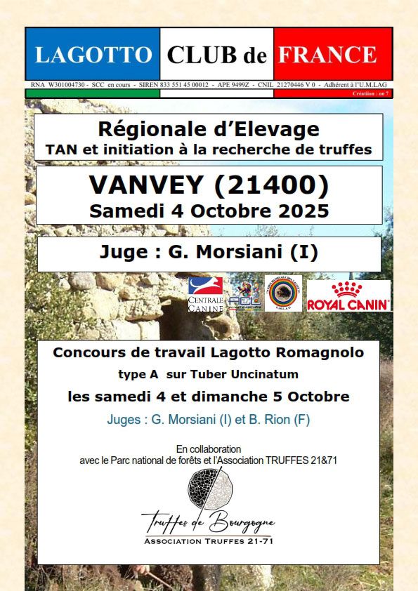 Concours de Travail du Lagotto Club de France 2025