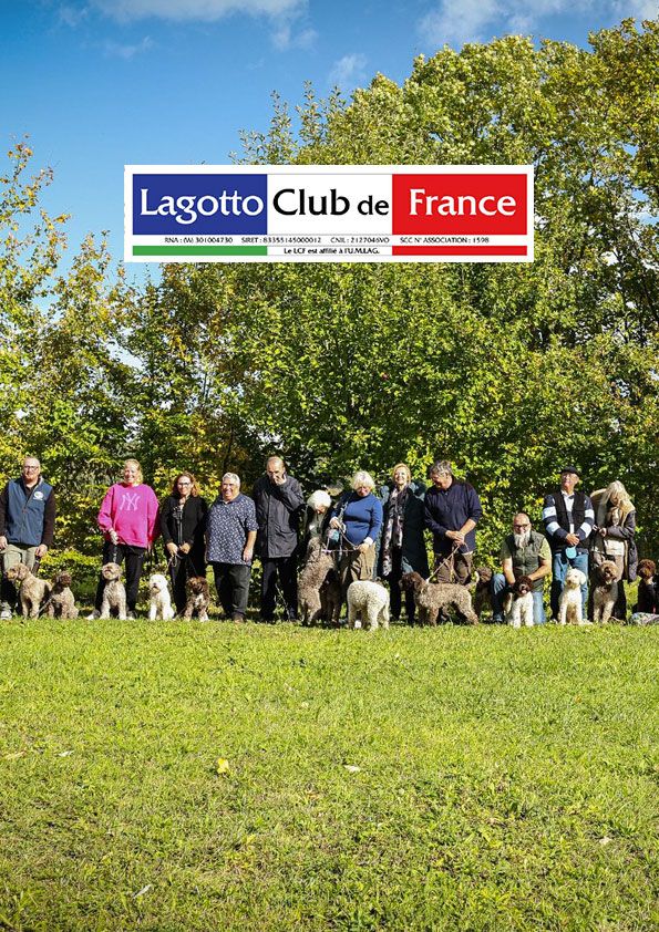Concours de Travail du Lagotto Club de France 2025
