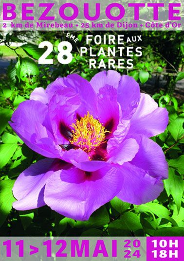 Foire aux plantes rares de Bezouotte 2024