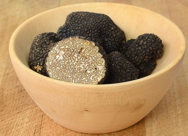 truffe de bourgogne tuber uncinatum