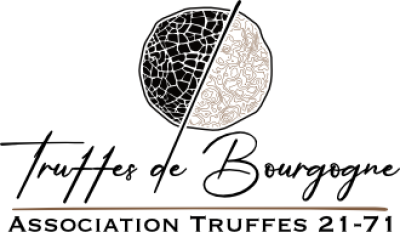 Truffe de Bourgogne